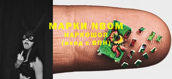стаф Магас
