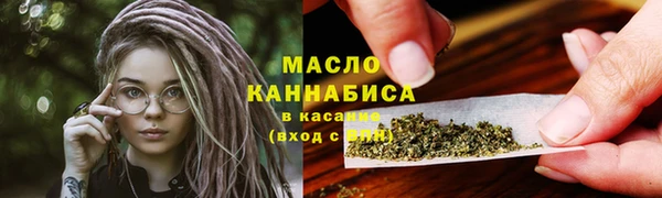стаф Магас