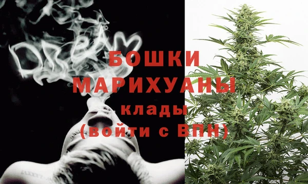 стаф Магас