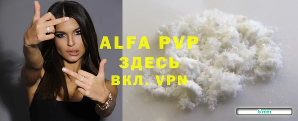 стаф Магас