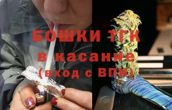 стаф Магас