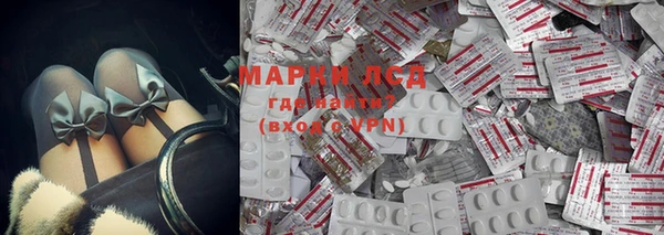 стаф Магас